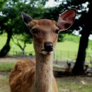 힐링나라 | 평창 허브나라 여행 후기: 자연과 향기를 만끽한 힐링 여행