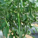 인영농장 이미지