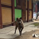 나홀로 | [노파산행 : 월출산] 등산 초보를 위한 나홀로 산행 후기