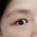 김포 운양역 속눈썹펌 잘하는 곳 | 오즈뷰티에서 예쁘게 바짝 올라간 컬링 완성!💫