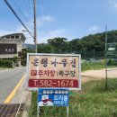 은행나무집앞