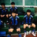 서귀포축구공원 2 이미지