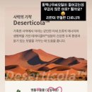 보타랩헤어 이미지