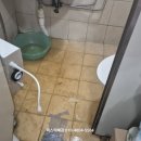 새오약국 이미지