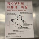 칠곡 왜관에 위치한 뒷돈상회 왜관점 후기!! 칠곡고기집추천
