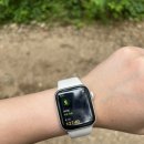 호명산잣나무숲캠핑장 이미지