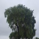 불갑면보건지소 이미지