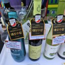 남산 와인페어 후기 및 추천와인 2025 09 21