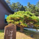 푸른숲식당 이미지