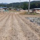 동량면사무소 이미지