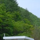 계방산펜션 네이버블로그