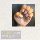 드네일 - 마포구 마포대로 109 | 강남 가성비 네일 추천 [드네일] 꼬띠드 29 내돈내산 후기