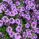 솔섬하우스 이미지