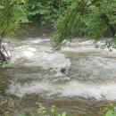 이하리천 이미지