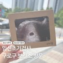 구로구보건소 | 임신 5주차 임신초기검사 구로구 보건소 방문 후기