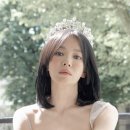 보그 차이나 카카오 검색결과