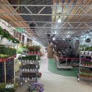 초보식물 집사들을 위한 홈가드닝 | [조인폴리아] 초보 식집사의 식충 식물 구매 후기, 파주 대형화원 추천