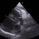 타임즈 동물의료센터 이미지