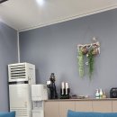 찐타이어 이미지