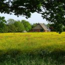 바다가아름다운집 이미지