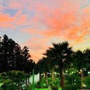 마로니에 미니골프 이미지