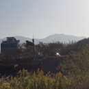 산단로 Daum카페