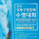 구청장배 수영대회 이미지