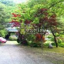 산머루집민박 이미지