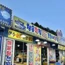 (주)청용 | &lt;청용횟집&gt;ㅣ속초횟집 현지인맛집 직접 잡아오신 회+인생매운탕, 내돈내산 솔직후기