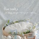 화이트무드 - 동대문구 회기동 | 화이트무드