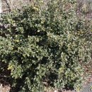 신북초등학교 이미지