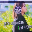 엔젤스코인노래연습장파주 네이버블로그