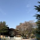 산내마을10단지정문 버스정류장 | 분당 구미동 까치마을 1단지(대우롯데선경) 임장ㅣ실거주자 후기