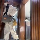 서대문시니어클럽 뽀송뽀송 이미지