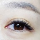 상남동263 이미지