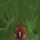 학운초병설유치원 이미지