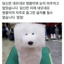 농댕이 | 유기농업 기능사 실기 필답 시험접수 방법부터 시험 후기까지