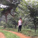 옹달샘농장 이미지