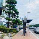 동백로29번길 이미지