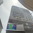 THE S.TEI | 홍콩에 가면 가볼 만한 곳들