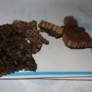 수원 카닥터 이미지