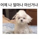 UR(파주시)-[경의로]-하-150 | [파주 맛집] 파주 고메스퀘어 맛집 탐방🍴 한 번에 둘러본 후기 - 고메스퀘어 파주직영점