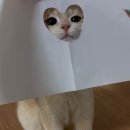 행운상사-1