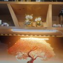 전설의참치 이미지