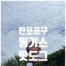 핫도그(HOTDOG) | 제주 판포포구 맛집 핑거스핫도그(Fingers Hotdog) 내돈내먹 후기