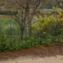 금사보건지소 이미지