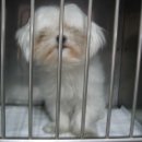 연서 동물병원 이미지