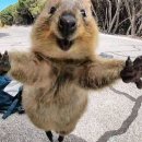 초가정원 이미지