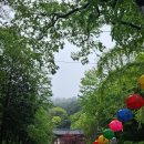 서광사 등산로 이미지