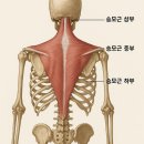 양산 바디관리 잘하는 곳｜거북목·어깨통증 싹 풀리는 괄사 바디케어 후기 – 미앤미 스킨앤바디